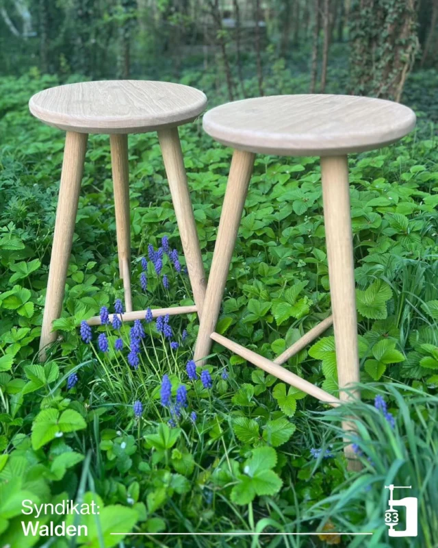 Früher hieß er Taburett.
Taburett, Schemel, Hocker – das Sitzmöbel ohne Lehne gibt es schon seit Jahrhunderten. Der Name „Taburett“ stammt aus dem Französischen „tabouret“, was ursprünglich eine kleine Trommel bezeichnete.

Doch dieser Hocker ist mehr als ein Klassiker – er ist ein echtes Wiener Original. Entworfen von Sebastian Schmid (@schraubstock83insta ), einem Architekten mit einer Leidenschaft für handgefertigte Möbel, entsteht er in sorgfältiger Handarbeit in seiner Holzwerkstatt.

Ob als Beistelltisch, Buchablage, Nachttisch oder zum Füße hochlegen – dieser Hocker ist ein echtes Multitalent. Und wer weiß, vielleicht auch eine Trommel? 

Jetzt bei uns im Syndikat Walden Shop!

#schraubstock83 #syndikatwalden #handcrafted #designfurniture #wieneroriginal #sebastianschmidt #holzliebe #multitalent #interiordesign #handmadefurniture #möbeldesign #hocker